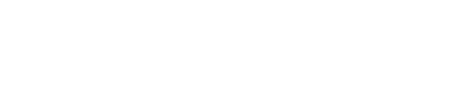 Sonik